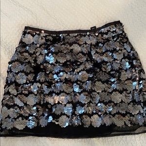 Sparkly skirt